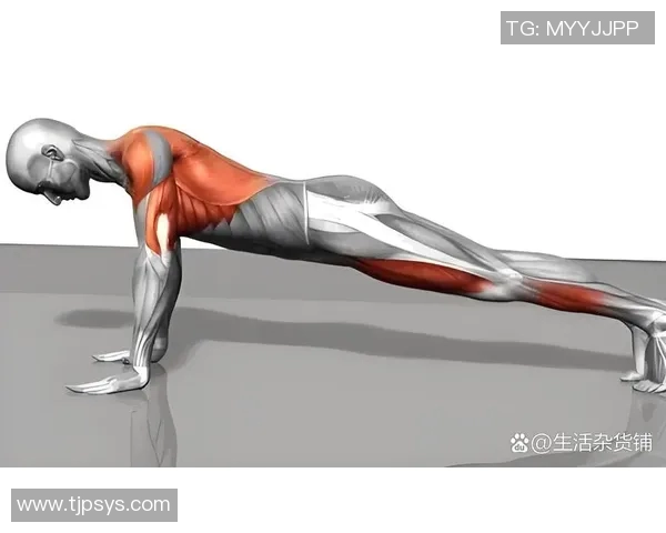 全面提升肌肉力量与耐力的科学方法与训练计划解析