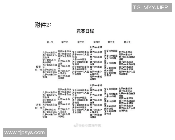 游泳比赛规则详解与竞技精神的体现分析